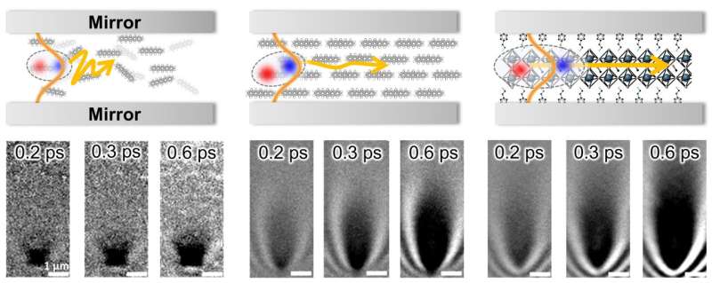 The research team tested materials ranging, from films with randomly arranged molecules to more organized molecular crystals to the fixed lattices of different 2D materials to identify three guiding rules for creating polaritons: the chosen material should have (1) large optical absorption, (2) low disorder, and (3) a little bit of inherent exciton delocalization. Credit: Milan Delor, Columbia University The playbook for perfect polaritons