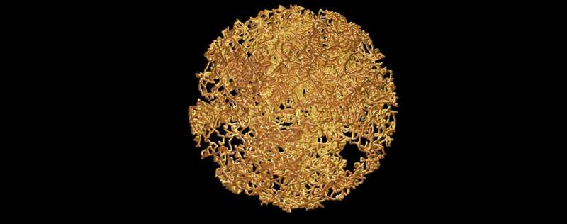 A walk in the space of rotating spins and qubits. Credit: Physical Review Letters (2025). DOI: 10.1103/xk8y-hycn Twice around to return home: A hidden reset button for spins and qubits