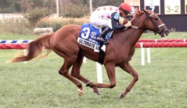 Buy or Sell on Road to Breeders’ Cup: Juvenile Fillies Turf Contender Ultimate Love