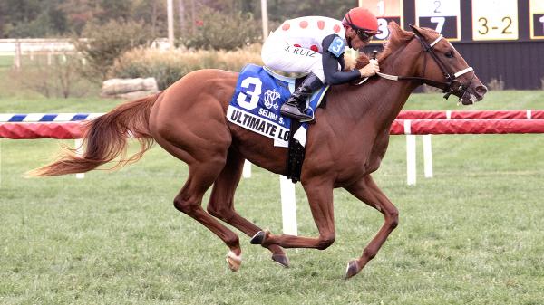 Buy or Sell on Road to Breeders’ Cup: Juvenile Fillies Turf Contender Ultimate Love