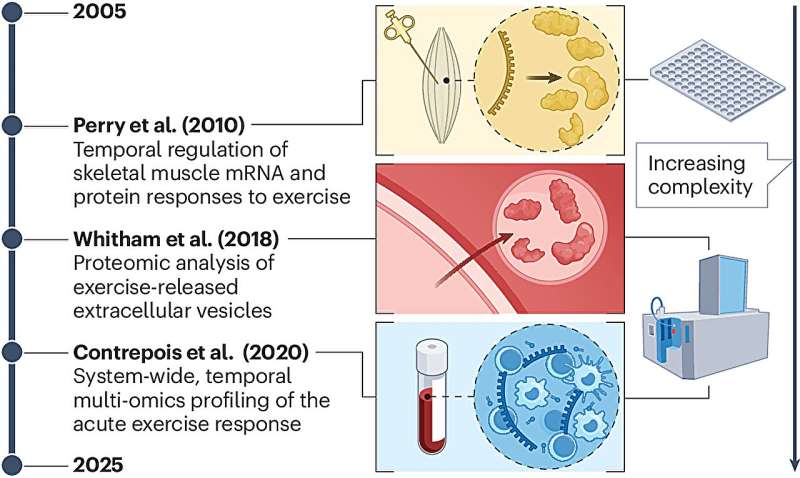 Landmark studies in human exercise metabolism from the past two decades. Credit: Nature Reviews Endocrinology (2025). DOI: 10.1038/s41574-025-01181-1 Unlocking the molecular puzzle of exercise, researchers map 20 years of progress