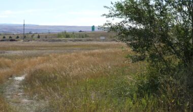 Laurel now possibility for state mental hospital in eastern Montana