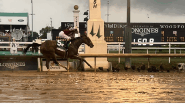 Thoroughbred racing's 2024 Horse of the Year Thorpedo Anna retires
