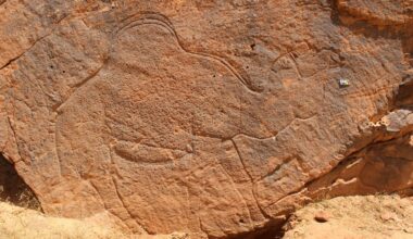 Scientists find 12,000-year-old animal carvings in the Saudi Arabian desert