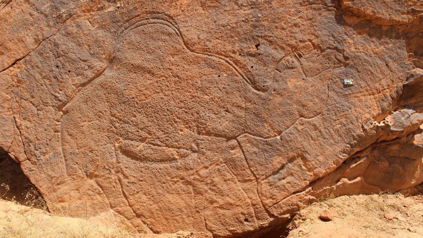 Scientists find 12,000-year-old animal carvings in the Saudi Arabian desert