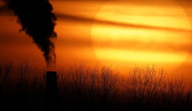 World used record amount of fossil fuels last year, scientists say