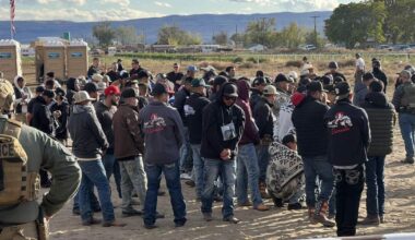 Over 100 people detained in federal raid at Idaho horse track, ICE says