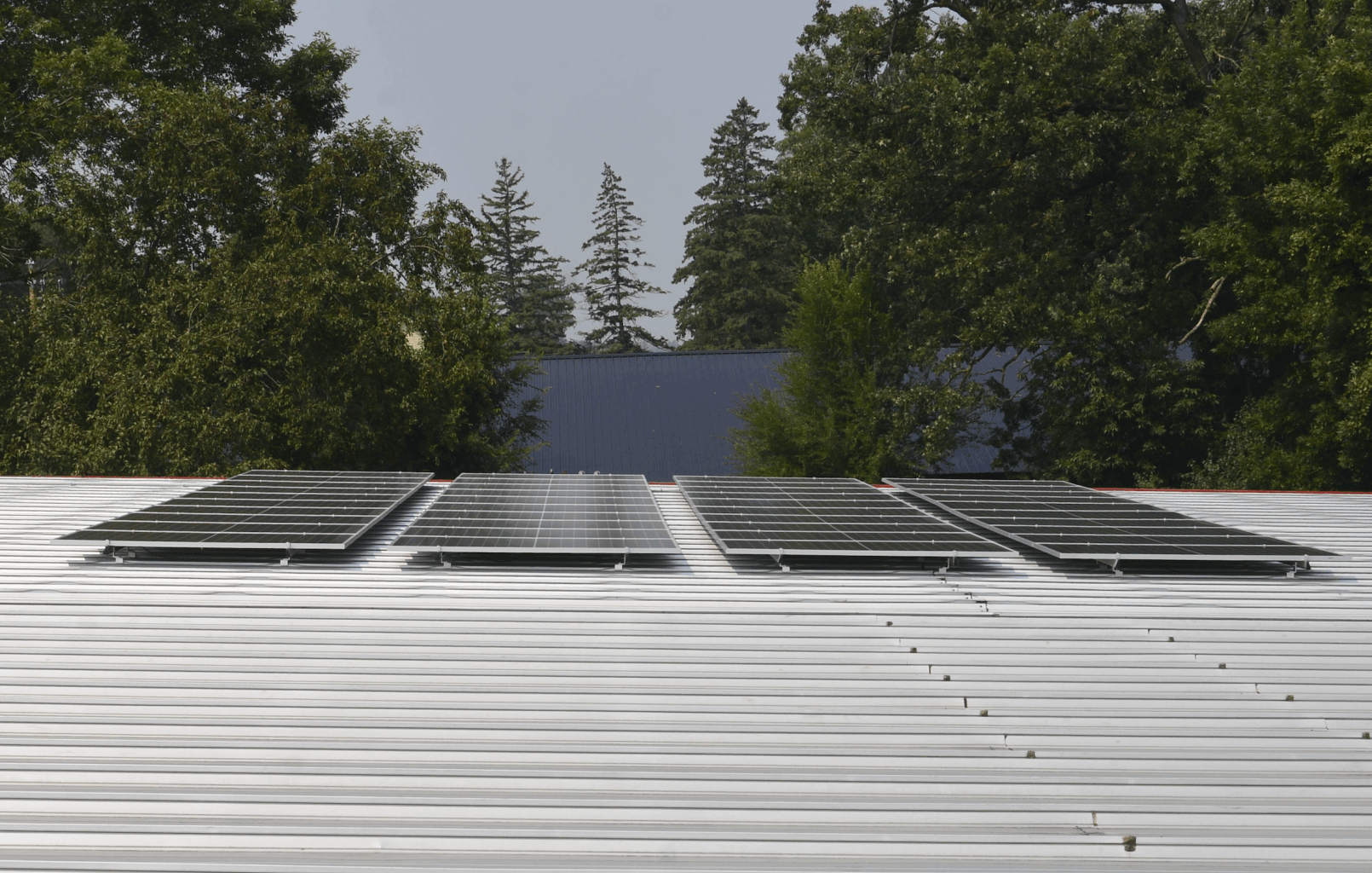 New London yields cleaner energy, cost savings with new solar panels on public buildings - West Central Tribune