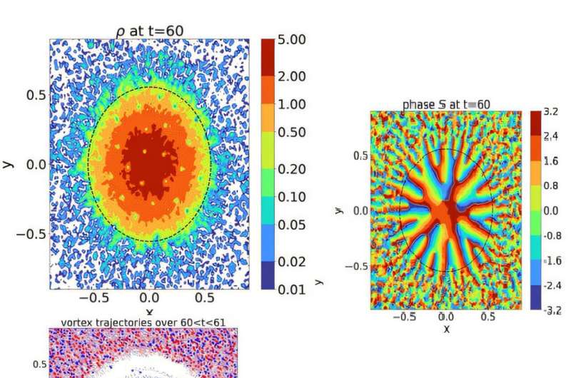 Vortices in ultralight dark matter halos