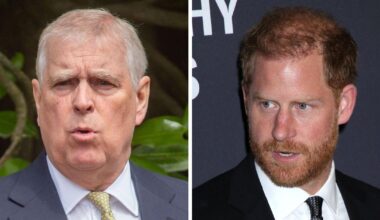 Will Prince Andrew Lose His Royal Protection? His Future Explained