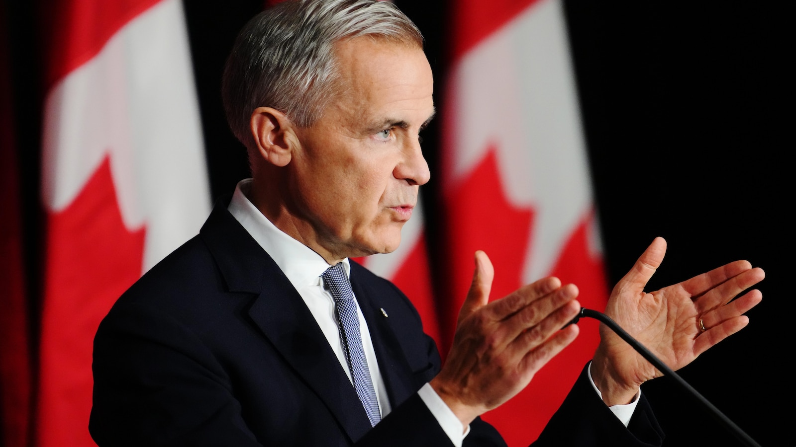 PM Mark Carney says Canada will double non-US exports as Canadians can't rely on US
