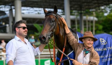 At Witz End still racing on strong :: Racing Queensland