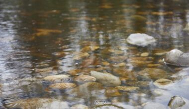 Yorkshire Water kicks off next stage of storm overflow investment with Leeds project