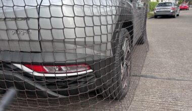 Foxes believed behind damage to dozens of Dublin cars