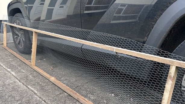 Residents and car owners have said foxes might be causing damage to their cars