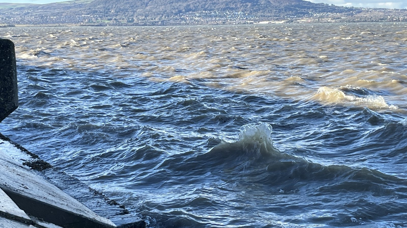 Watchdog to investigate sewage discharge in Belfast Lough