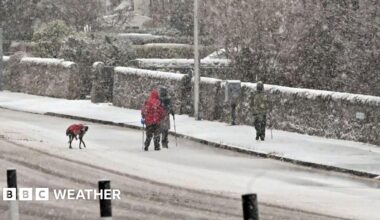 group of walkers and a dog walking on a road that is starting to get covered in snow.  Snowing is falling heavily
