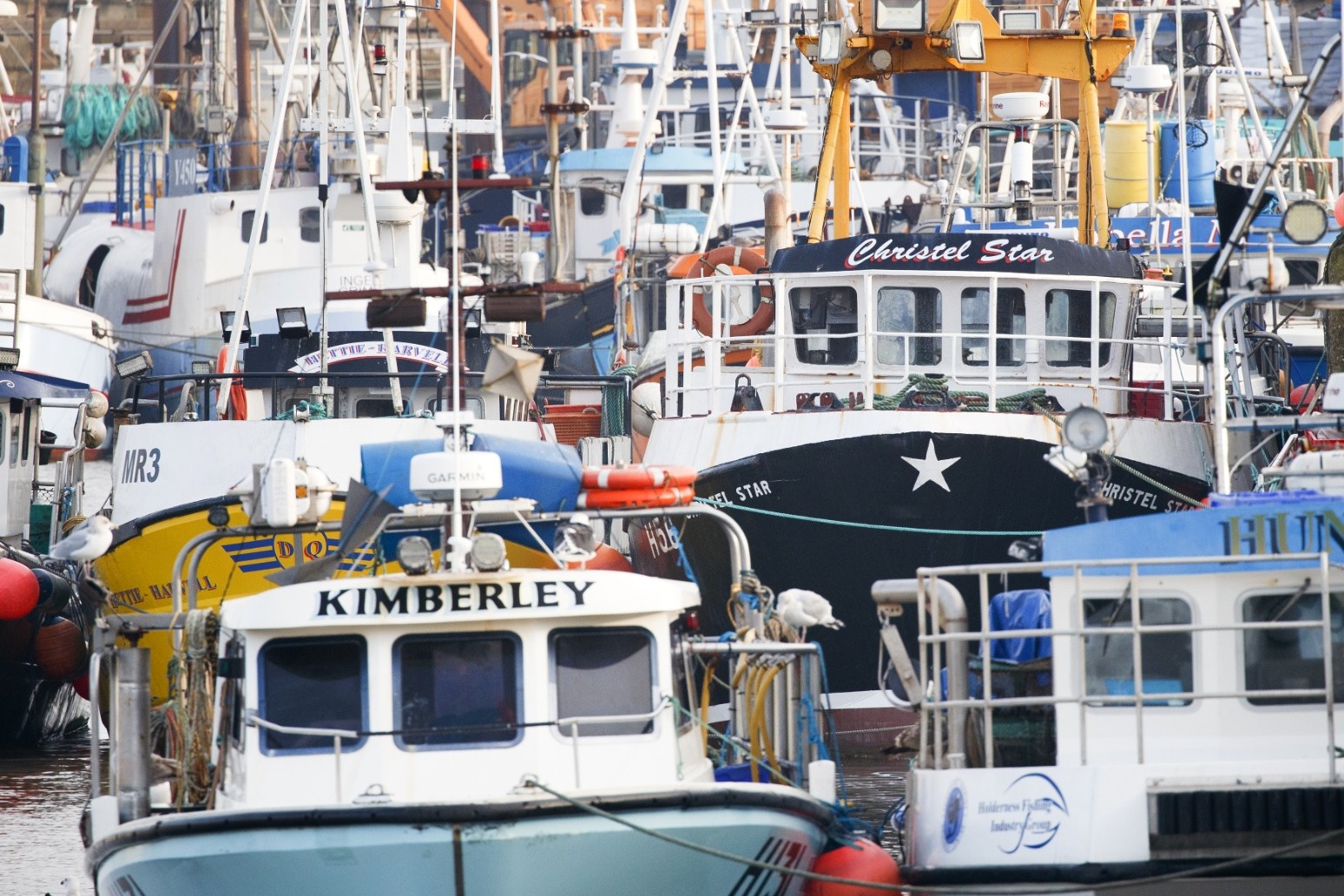 Post-Brexit law ‘failing’ to help fish stocks and communities, Government warned 