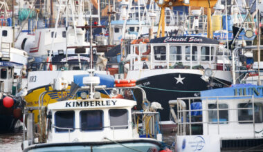 Post-Brexit law ‘failing’ to help fish stocks and communities, Government warned