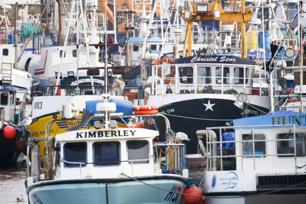 Post-Brexit law ‘failing’ to help fish stocks and communities, Government warned