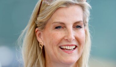 Royal Family LIVE: Duchess Sophie steps out as Prince William arrives in Brazil