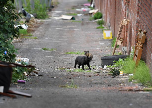 A total of 44 of the town’s 142 neighbourhoods - which are different to its 60 council wards - have moved into a more deprived band.