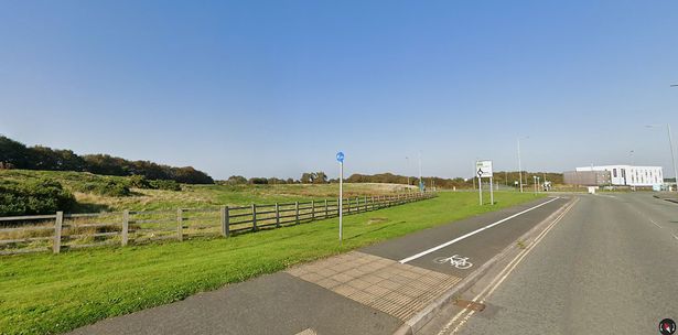 A large black cat reportedly like a puma was seen ‘stalking sheep’ near Holyhead's Premier Inn