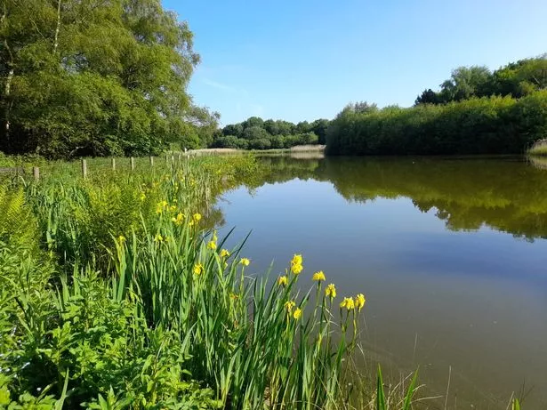 The country park is full of nature throughout the year, and is also popular for hikers and adventurers
