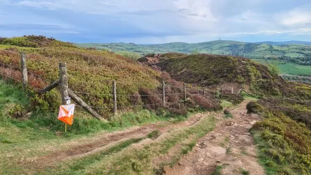 Tegg's Nose Country Park spans across 54 hectares of meadows, woodlands and quarries, and is home to many species of birds, deer and butterflies