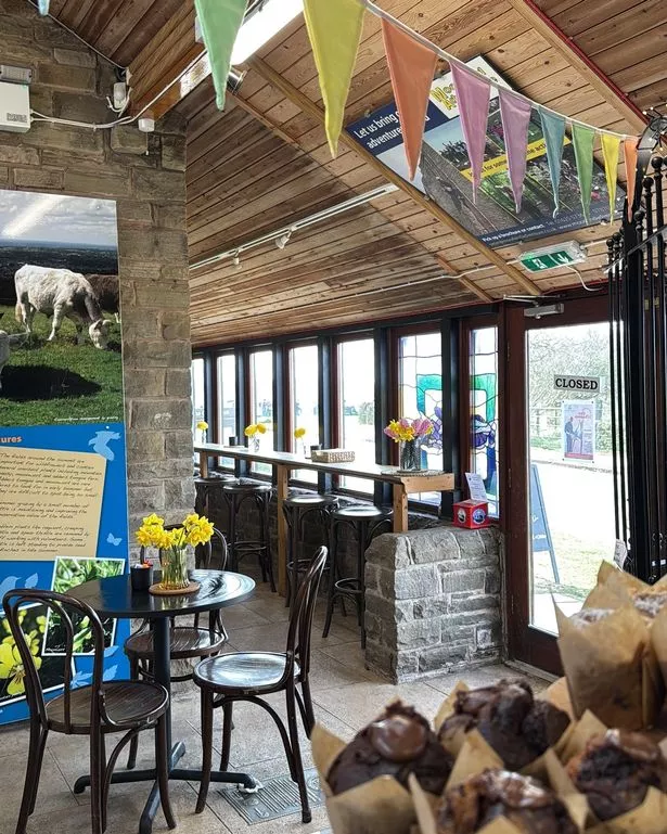 The Nose Coffee has been described as a 'gem of a place'