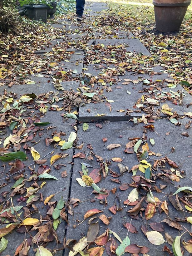 Uneven pavement along Darfield Way in London, UK, on Friday, October 24, 2025