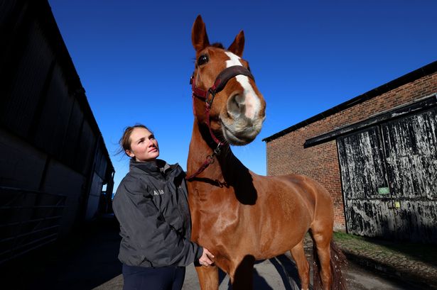 Alicia Ball at her horse school in Rainford looking for a new home after eviction notice.