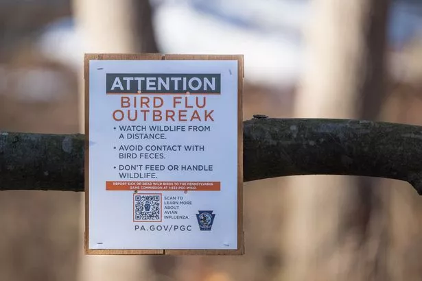 Sign warning visitors of bird flu cases