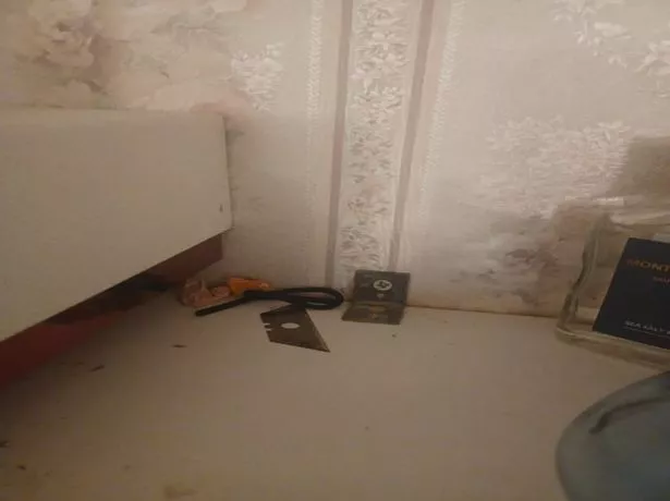 A razorblade was found at Davies' home