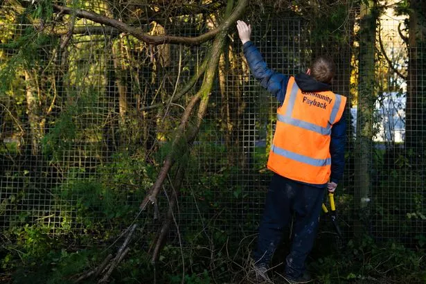 An offender carrying out community service cuts down branches blocking a canal towpath