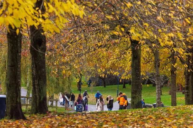 Autumnal colours visible through Castle Park in Bristol, Thursday 23 November 2023