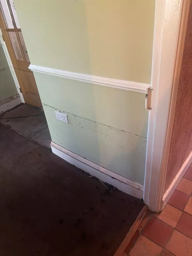 Water line along a cream wall