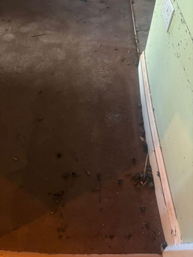 Bits of sewage remain in the living room, from when the septic tank burst