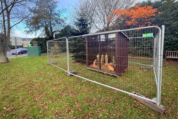 Christmas nativity scene on Hawthorn Road