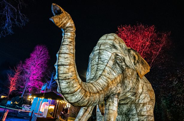 Chester Zoo's Lanterns and Light event