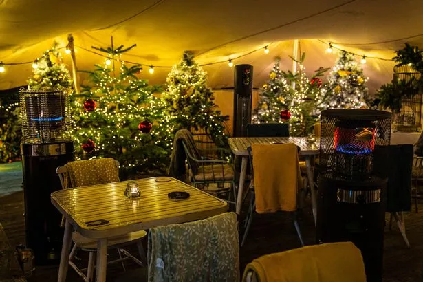 More than 20,000 fairy lights have been installed 