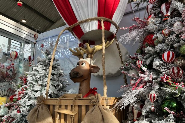 Newbank Garden Centre, Newton-le-Willows