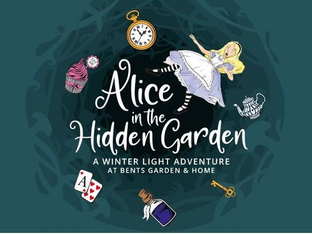 Bents Garden & Home is hosting a brand new Alice in the Hidden Garden Light Trail this Christmas