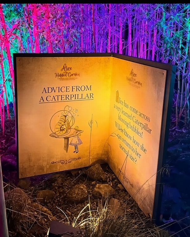 Visitors will 'follow a series of theatrical sets, light projections and enchanting sounds'