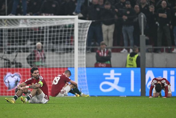 Hungary were left stunned after the loss