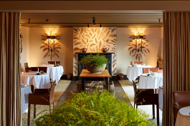 Inside The Fernery at Grove