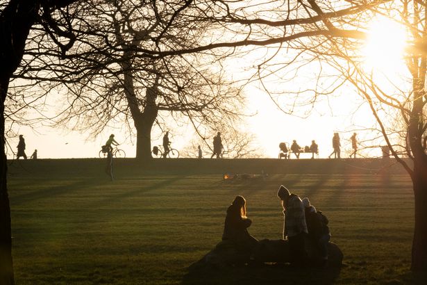 Brockwell Park in January