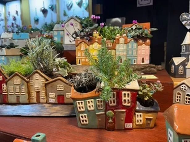 Flower pots in the shape of houses