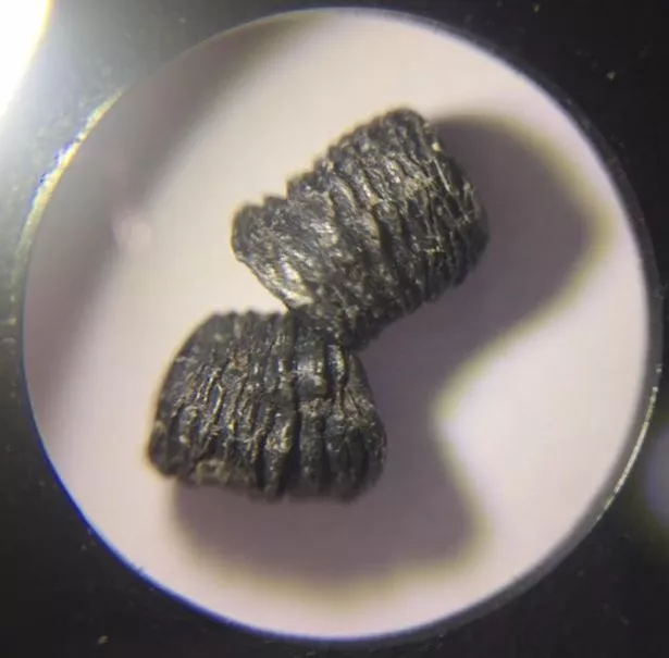 A close up of a plastic biobead