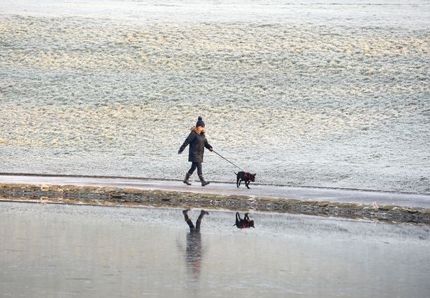 A dog walker in Sefton Park after the early morning frost